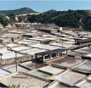 Salinas de Peralta