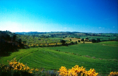 Alrededores de San Esteban de Litera