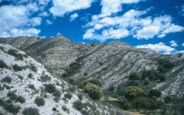 Zona de yesos en Albelda 