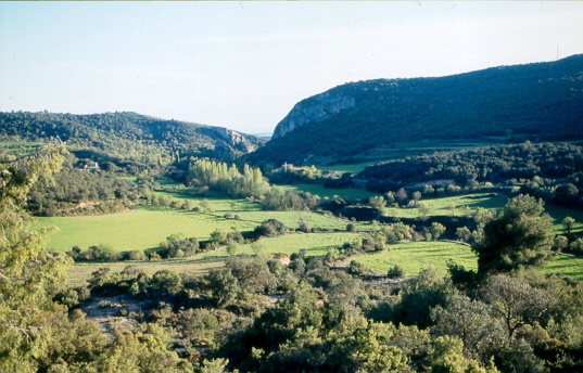 Alrededores de Estopiñán 