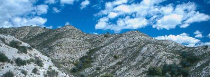 Sierra de las Gesas (La Litera- Huesca)